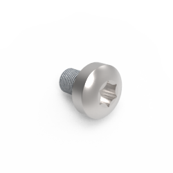 FILLISTER HEAD SCREW M4X6 INOX